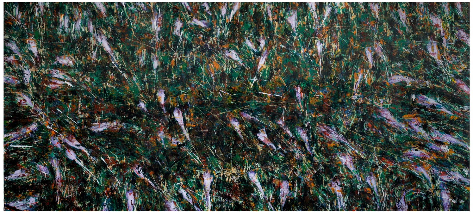 نقاشی مجموعه حسرت اثر جلال‌الدین مشمولی - 210 × 465 cm، 2025 | Colchicum Series (Hasrat) IV, Acrylic on canvas, 210 × 465 cm, 2025 — Jalaleddin Mashmooli Contemporary Iranian Painting