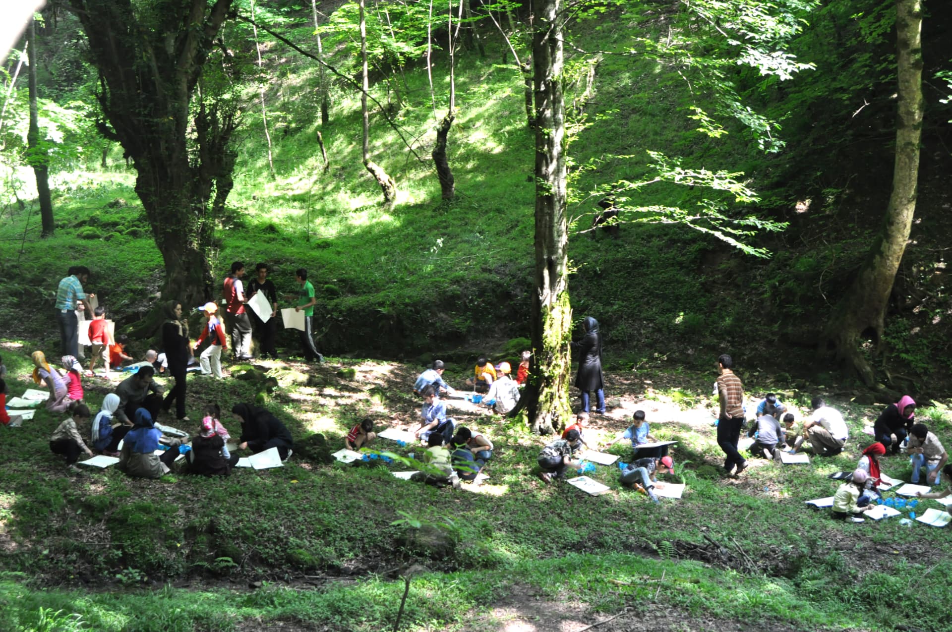 Open-air painting session with families in a Hyrcanian forest clearing